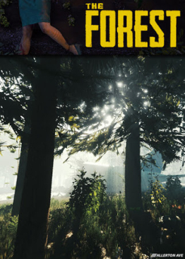 The Forest cover art