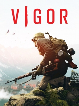 Vigor cover art