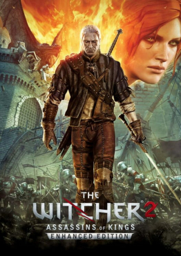 The Witcher 2: Assassins of Kings cover art