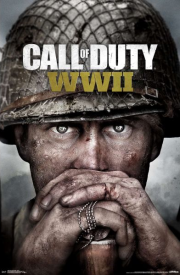 Call of Duty: WWII cover