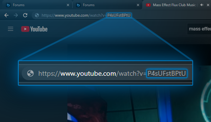 Screenshot of a YouTube video ID
